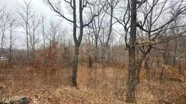 Участок в Приморский край, Владивостокский городской округ, пос. ... - Фото 1