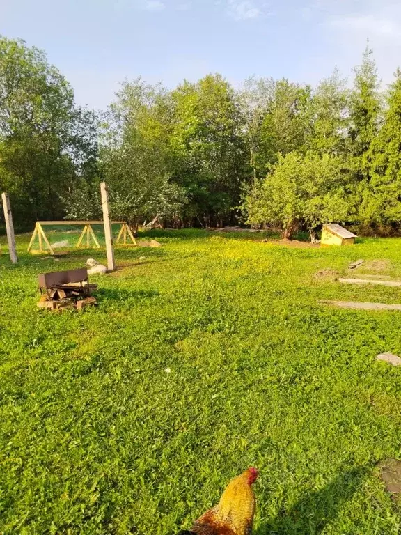 Участок в Новгородская область, Маловишерский район, Веребьинское ... - Фото 0