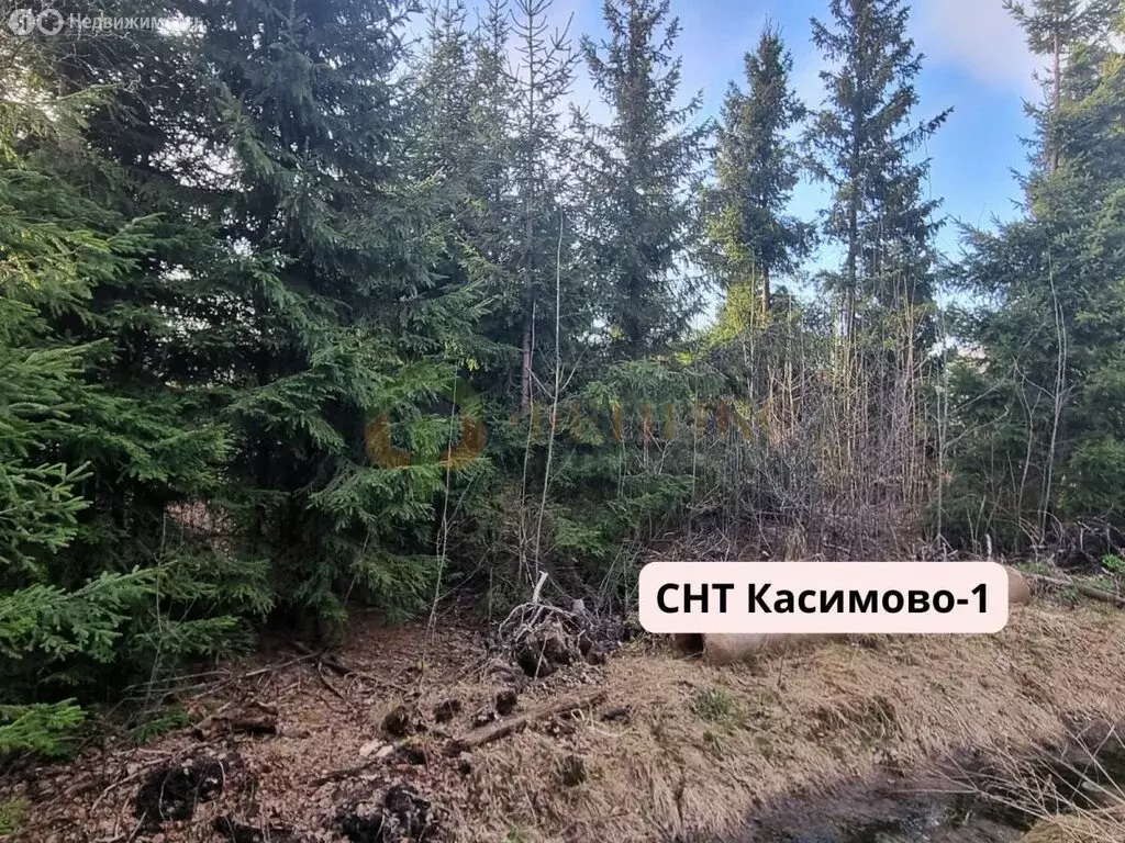 Участок в Агалатовское сельское поселение, СНТ Касимово-1 (10 м) - Фото 0