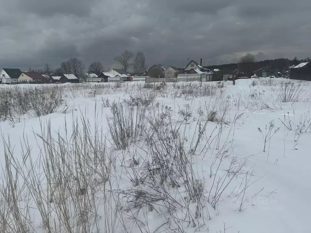Участок в Московская область, Богородский городской округ, д. Соколово ... - Фото 0
