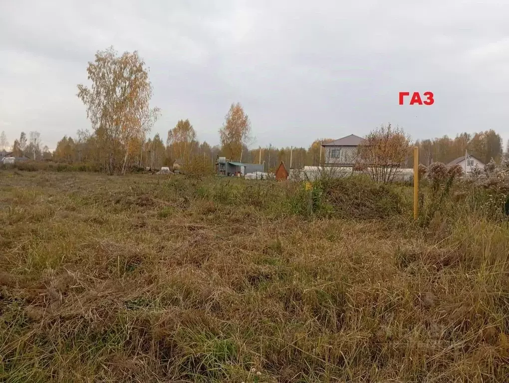 Участок в Новосибирская область, Новосибирский район, Барышевский ... - Фото 1