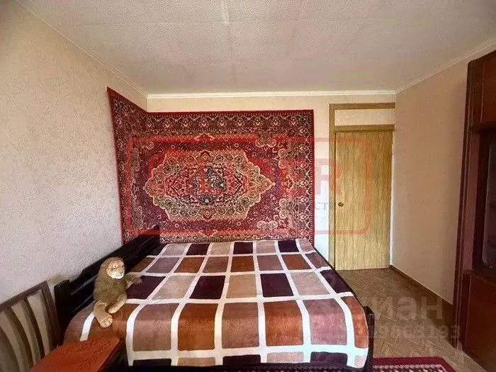 1-к кв. Севастополь ул. Глухова, 9А (40.0 м) - Фото 1