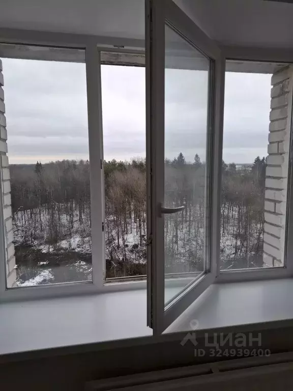 1-к кв. Ленинградская область, Мурино Всеволожский район, Оборонная ... - Фото 1