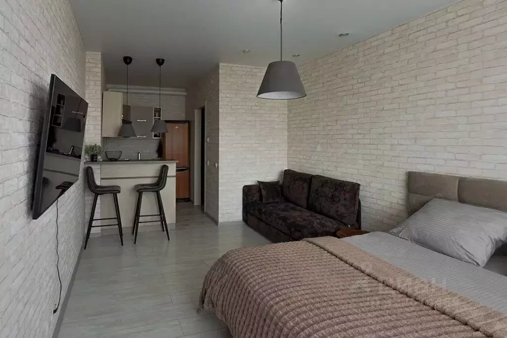 Студия Московская область, Шатура ул. Винтера, 1А (27.0 м) - Фото 2