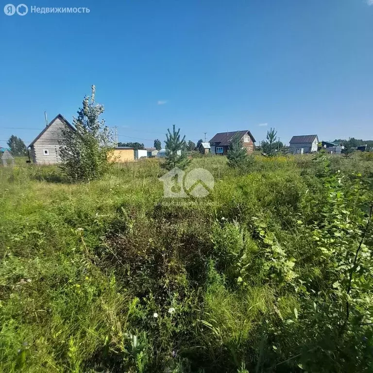 Участок в посёлок Садовый, ДНТ Витязь, 22 (7.5 м) - Фото 2