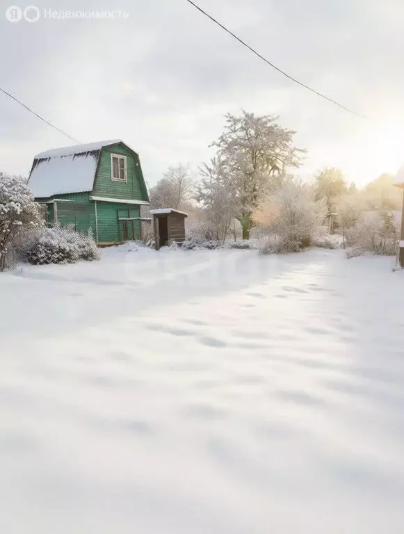 Участок в Ярославский муниципальный округ, СНТ Звёздочка (3.5 м) - Фото 2