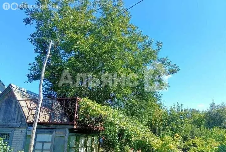 Дом в Ростовская область, Белокалитвинское городское поселение, СНТ ... - Фото 1