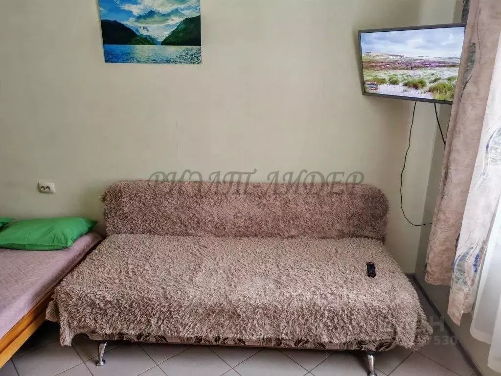 1-к кв. Алтай, Горно-Алтайск Коммунистический просп., 95/1 (27.8 м) - Фото 2