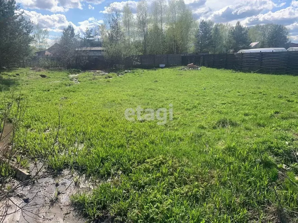 Участок в Костромская область, Красносельский район, Боровиковское ... - Фото 1