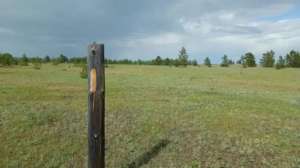 Участок в Саха (Якутия), Якутск городской округ, с. Сырдах  (10.0 ... - Фото 1