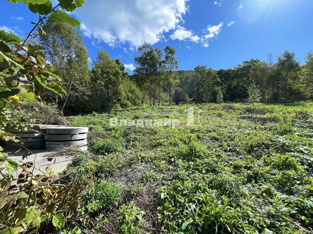 Участок в Приморский край, Находка Зеленый сад СНТ, ул. Надежда (13.06 ... - Фото 1