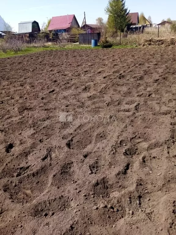 Участок в Алтайский край, Первомайский район, Рябинушка СНТ 6-я линия ... - Фото 1