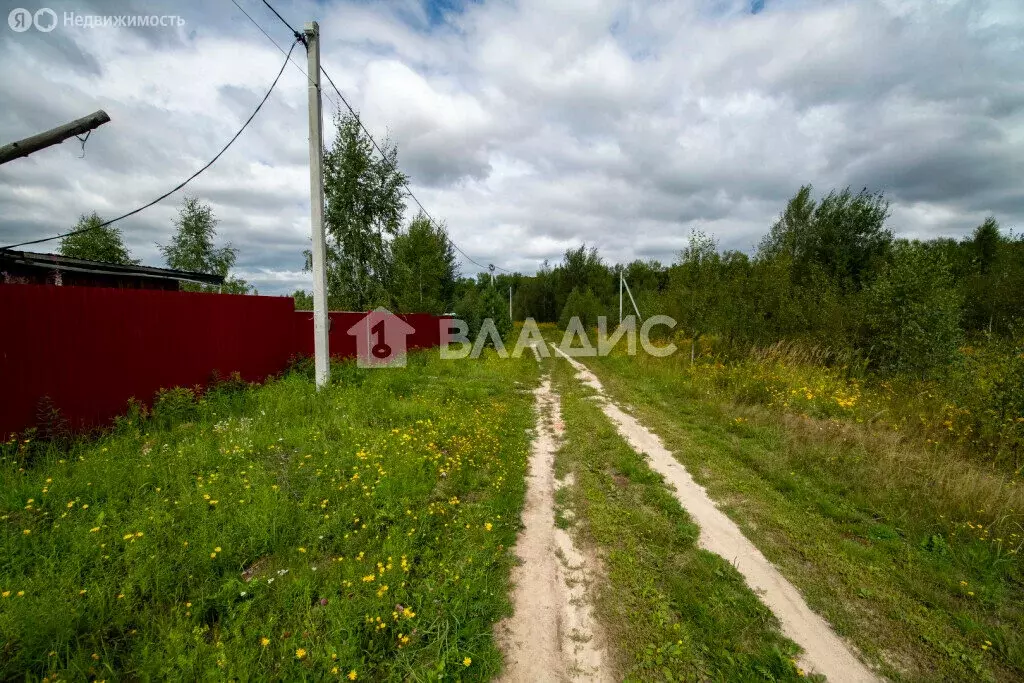 Участок в Нижегородская область, Богородский муниципальный округ, село ... - Фото 0