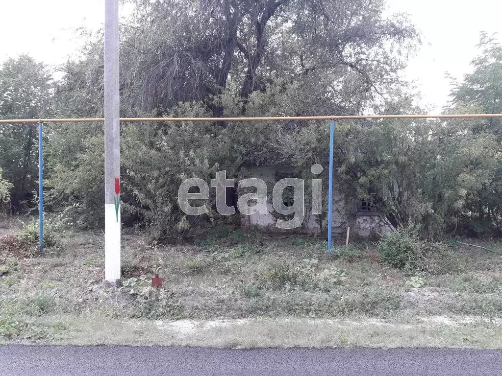 Участок в Белгородская область, Волоконовский район, с. Староивановка  ... - Фото 1