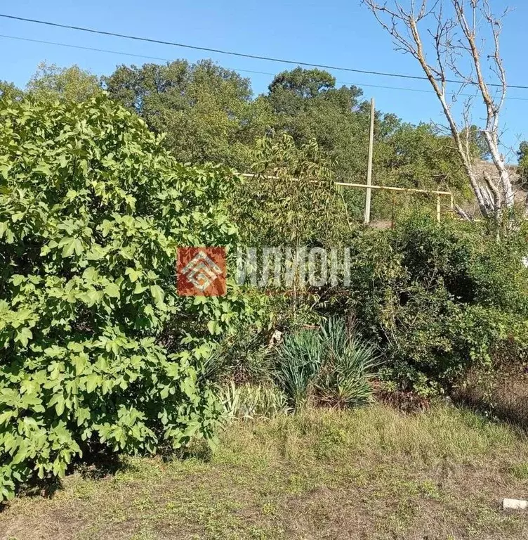 Участок в Севастополь Сельхозхимия садоводческое товарищество, 18 (4.5 ... - Фото 2