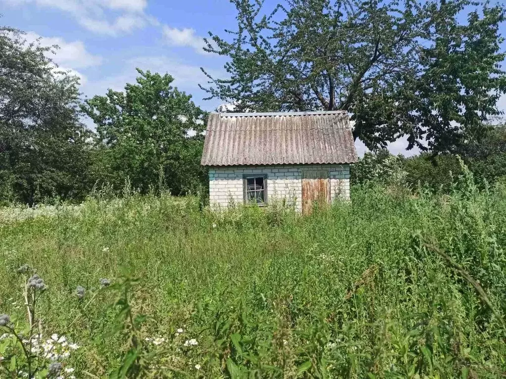 Дом в Брянская область, Брянский район, Мичуринское с/пос, Мичуринец ... - Фото 0