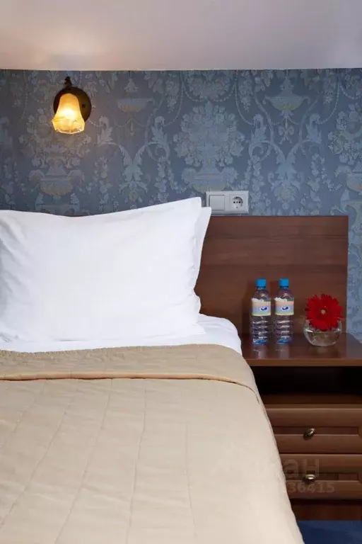 Комната Санкт-Петербург наб. Реки Мойки, 5 (17.0 м) - Фото 1
