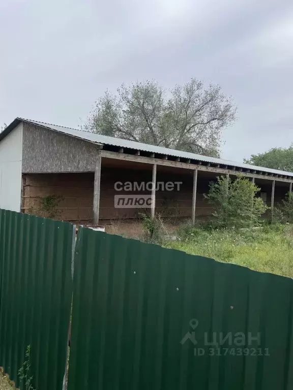 Помещение свободного назначения в Астраханская область, Камызяк ул. ... - Фото 0