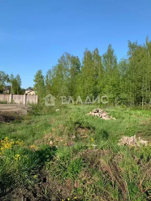 Участок 29,5 сот. (ИЖС) - Фото 0