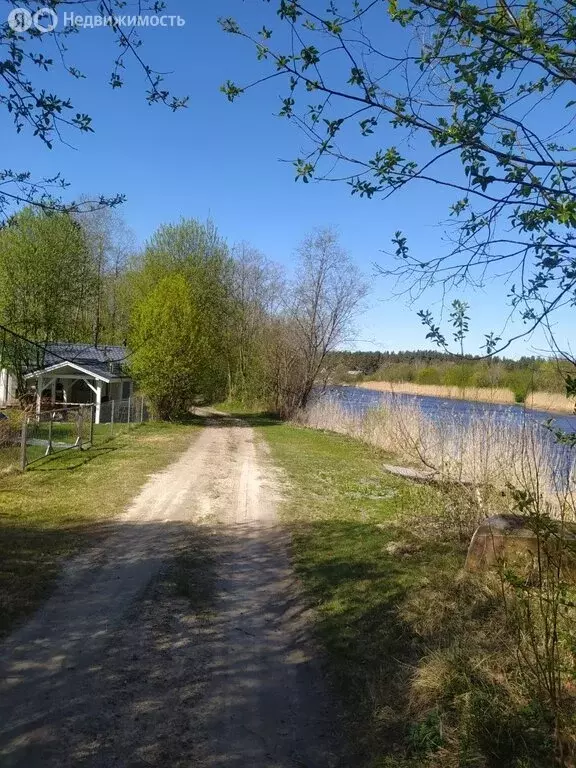 Участок в Кузёмкинское сельское поселение, деревня Горка (10 м) - Фото 2