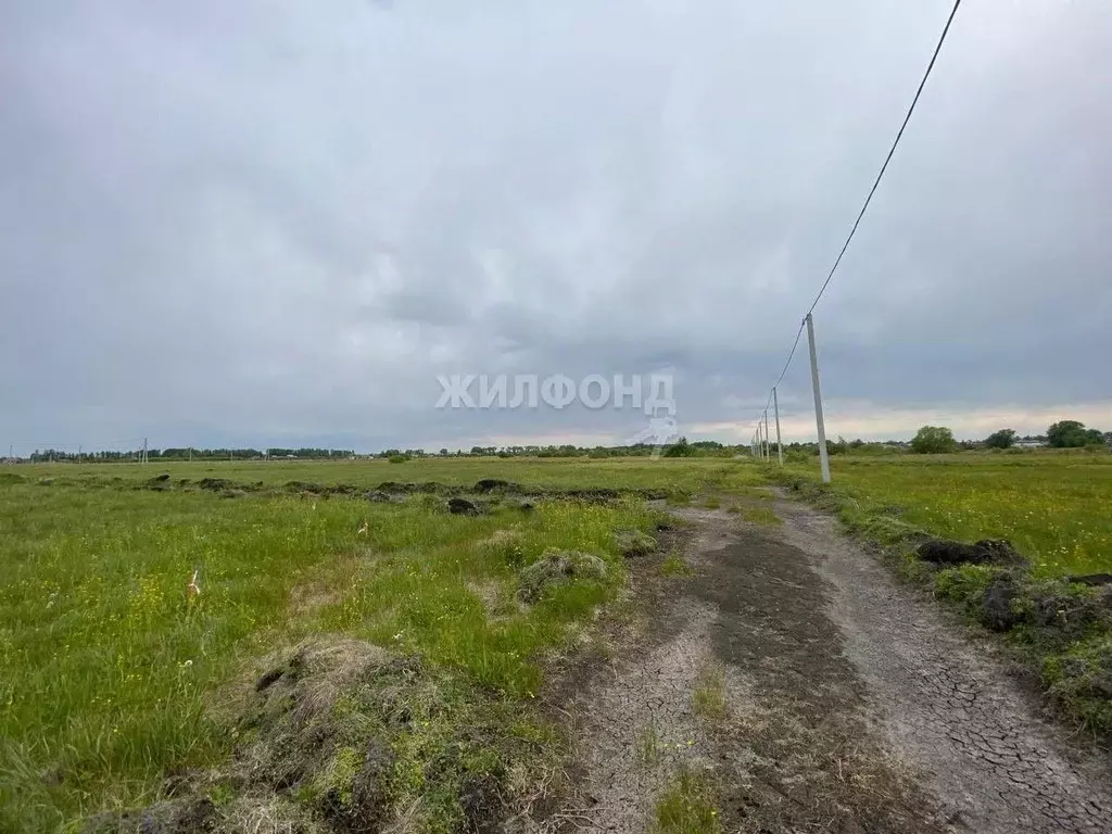 Участок в Воронежская область, Новоусманский район, Усманское 1-е ... - Фото 1