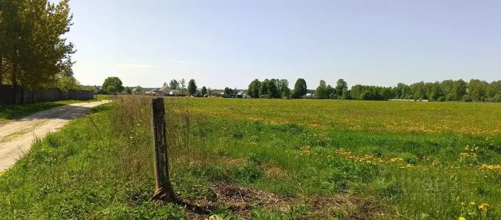 Участок в Владимирская область, Камешковский район, д. Брызгалово, ... - Фото 1