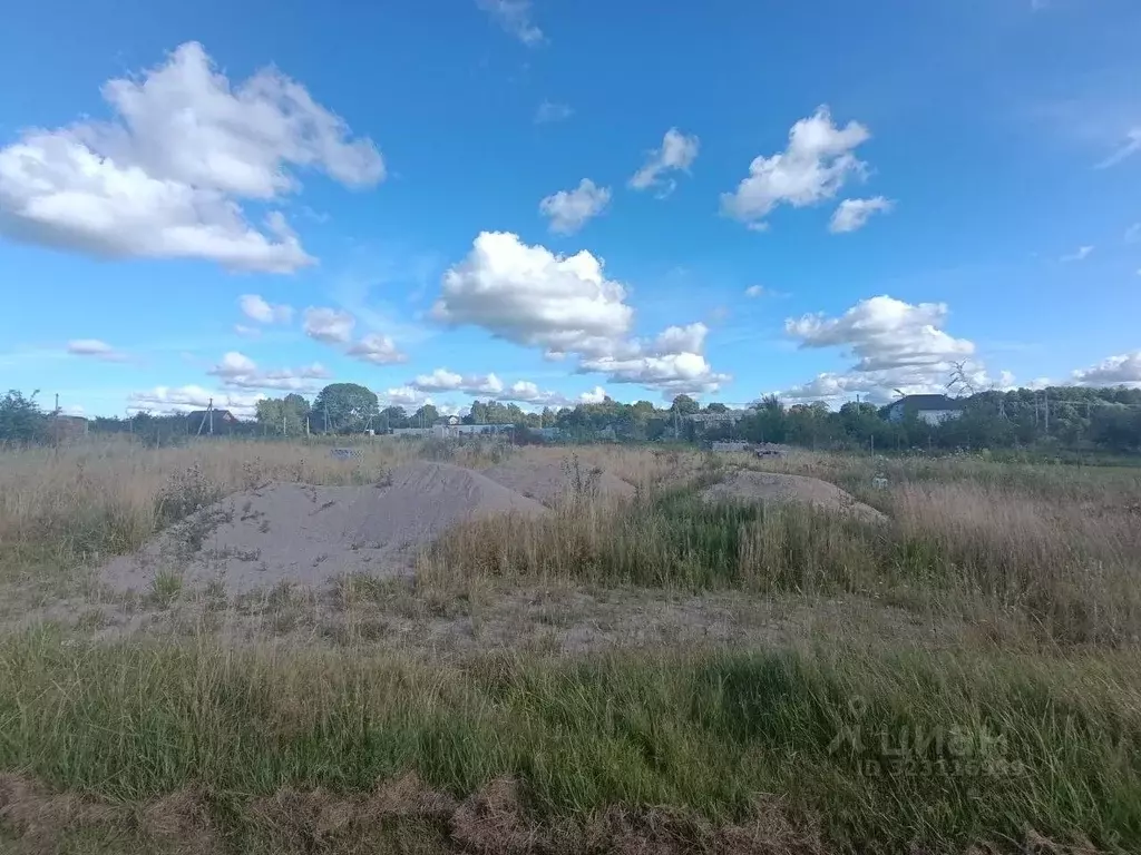 Участок в Калининградская область, Зеленоградский муниципальный округ, ... - Фото 1