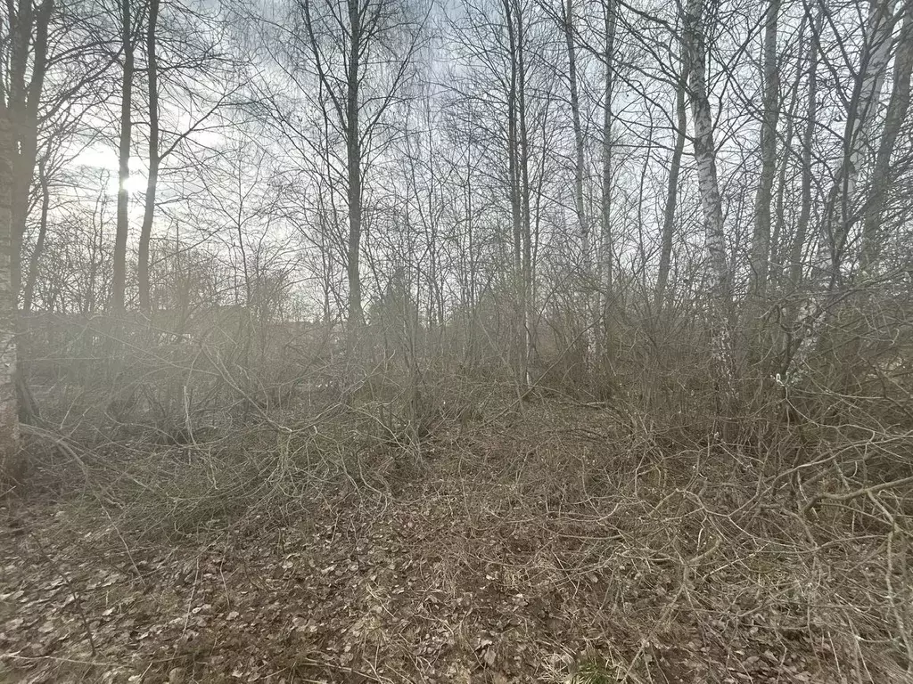 Участок в Московская область, Ступино городской округ, д. Петрово  ... - Фото 1