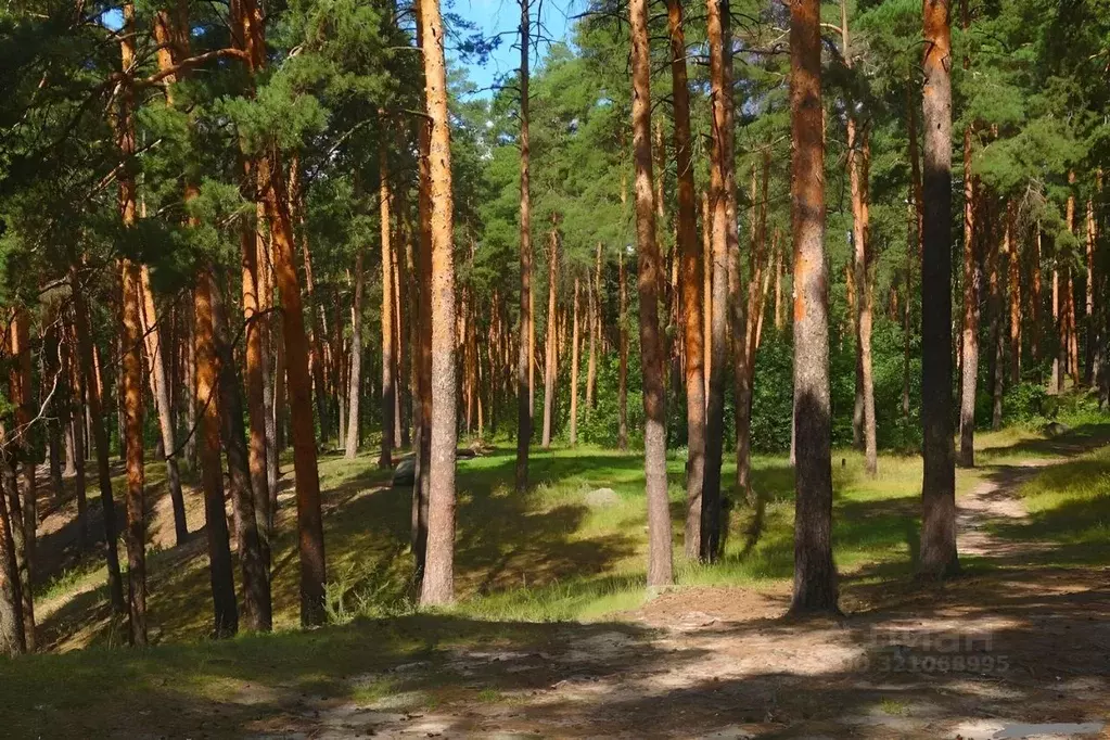 Дом в Московская область, Одинцовский городской округ, пос. Николина ... - Фото 2