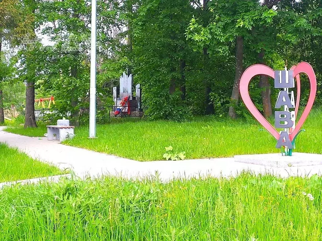 Участок в Нижегородская область, Нижний Новгород с. Шава, ул. Новый ... - Фото 1