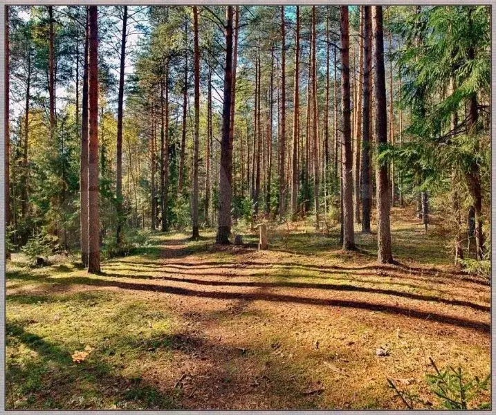 Участок 435га (СНТ, ДНП) - Фото 0