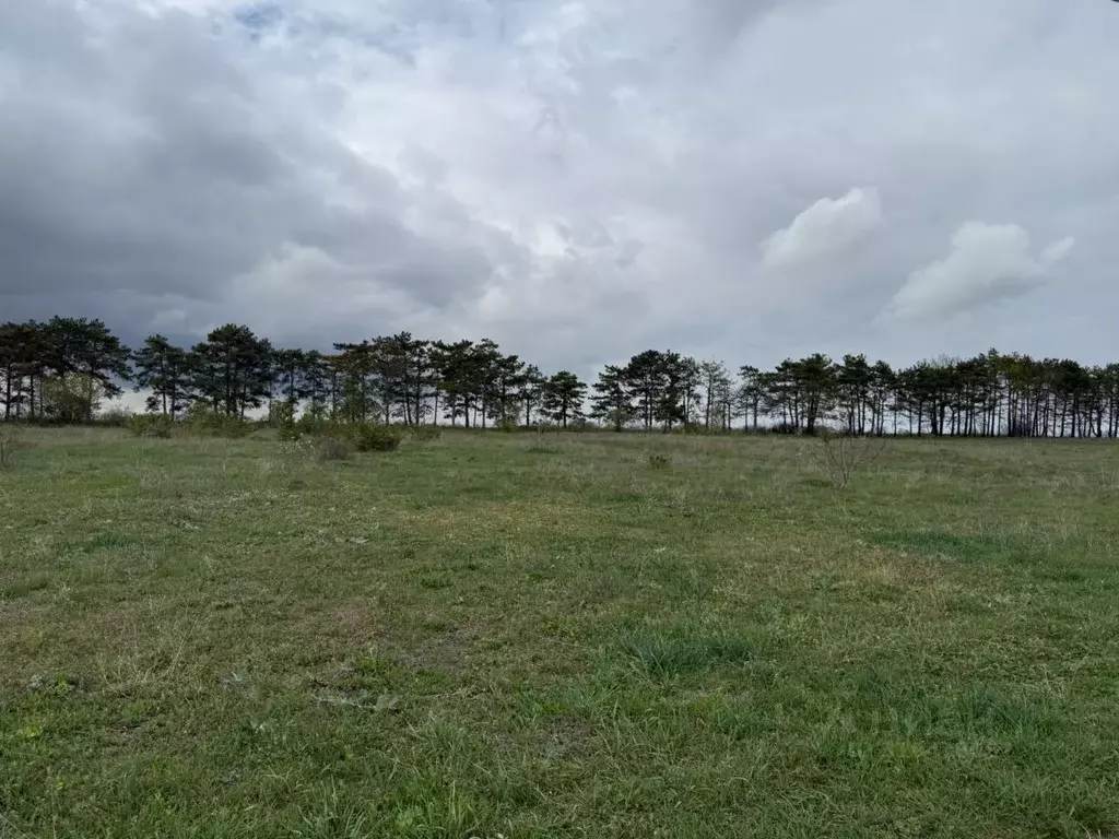 Участок в Крым, Кировский район, с. Абрикосовка ул. Сосновая (6.0 ... - Фото 0