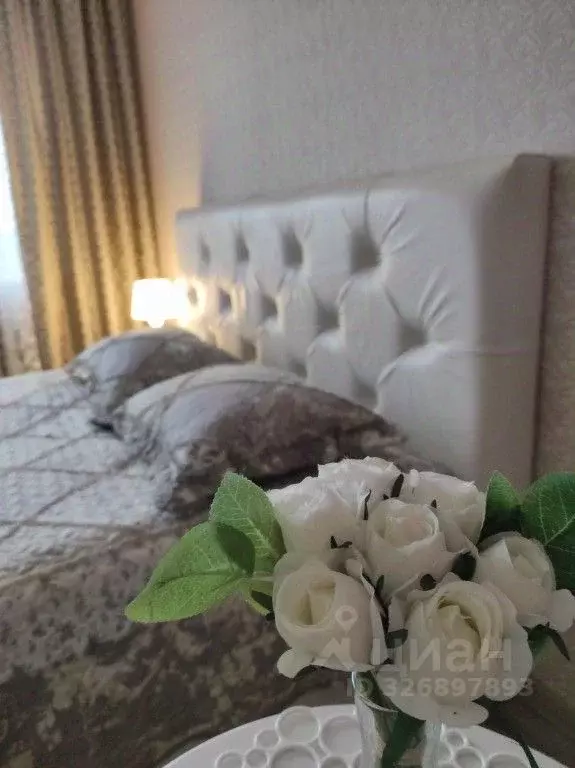 1-к кв. Московская область, Ногинск Богородский городской округ, ул. ... - Фото 0