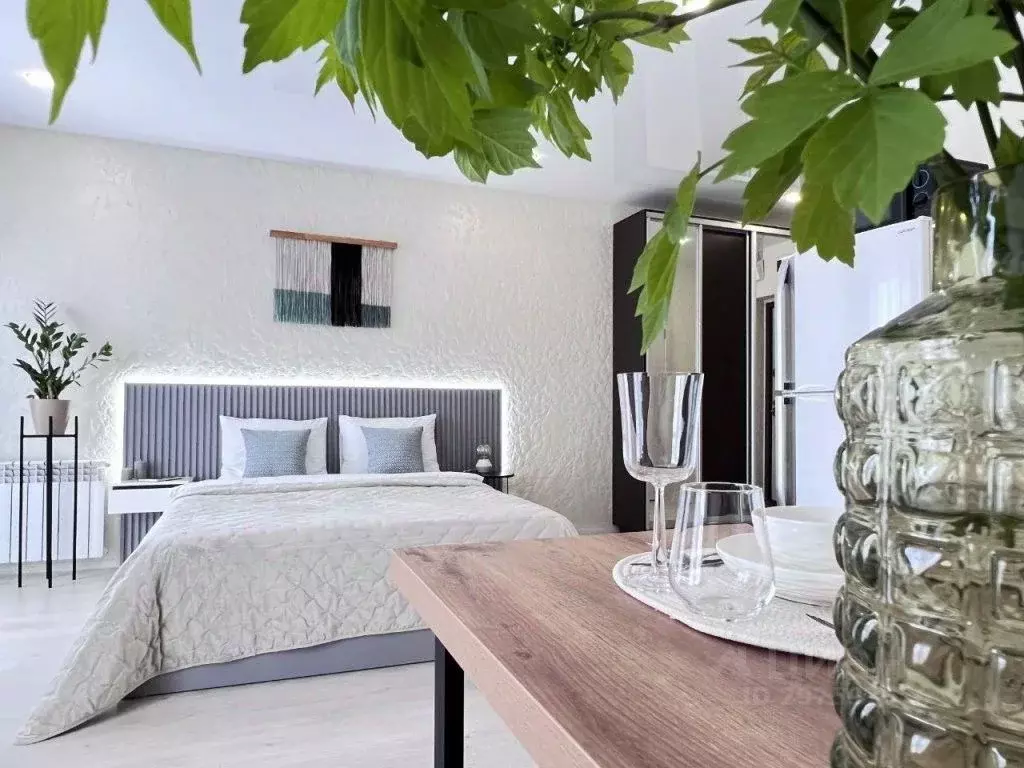 1-к кв. Новосибирская область, Новосибирск Обская ул., 46/2 (30.0 м) - Фото 1