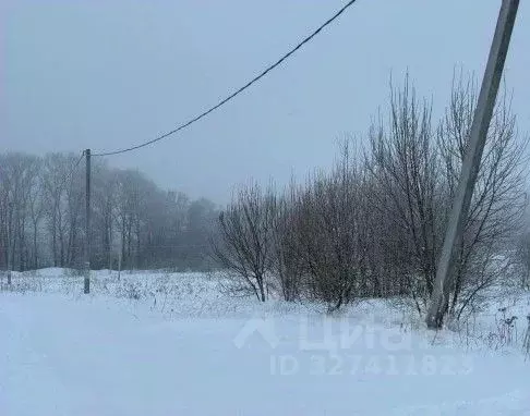 Участок в Московская область, Серпухов городской округ, с. Липицы  ... - Фото 0