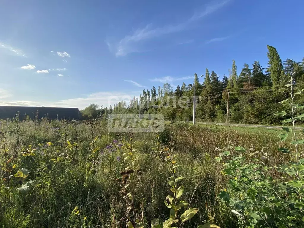 Участок в Краснодарский край, Апшеронск ул. Платова, 8 (10.18 сот.) - Фото 0
