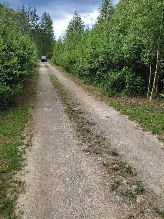 Участок в Новгородская область, Новгородский район, Ракомское с/пос  ... - Фото 0