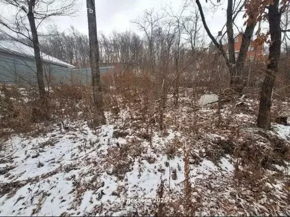 Участок в Приморский край, Артём (9 м) - Фото 1