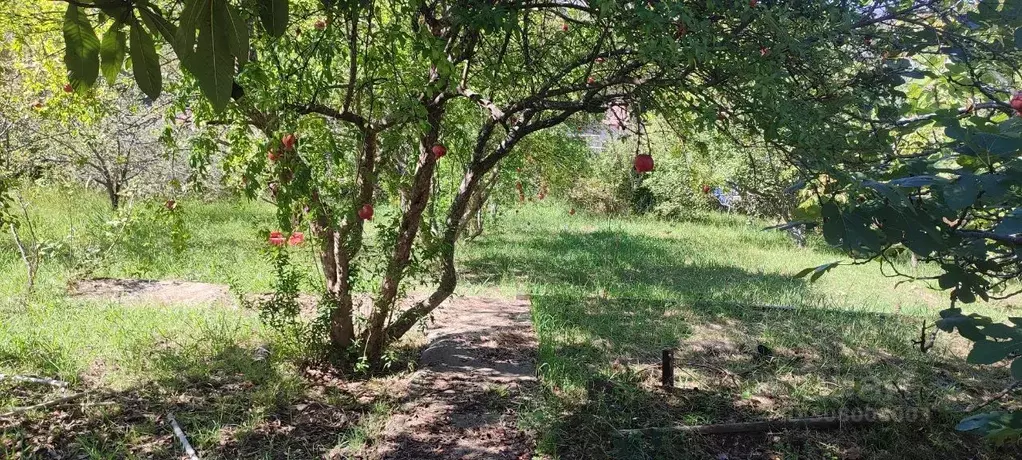 Участок в Краснодарский край, Сочи городской округ, с. Раздольное ул. ... - Фото 1