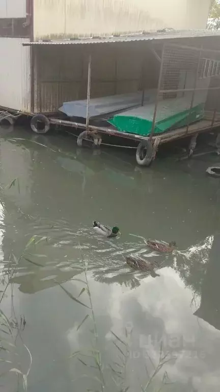 Дом в Краснодарский край, Темрюк  (48 м) - Фото 1