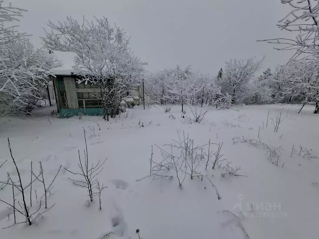 Участок в Саратовская область, Саратов проезд 8-й Верхний Черешневый ... - Фото 0