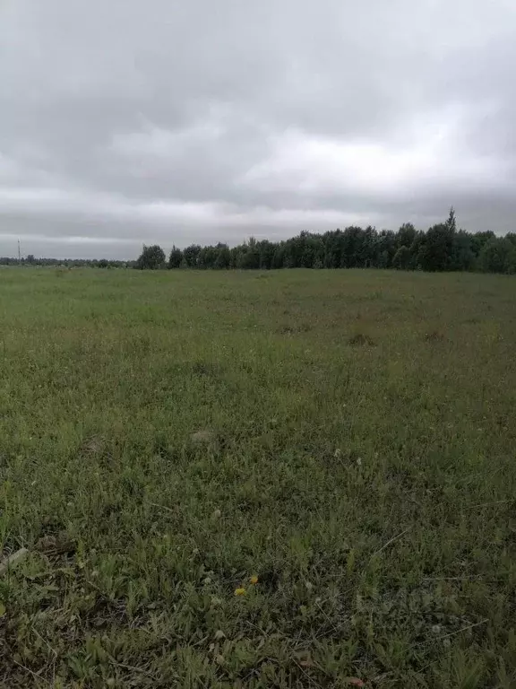 Участок в Ленинградская область, Ломоносовский район, Кипенское с/пос, ... - Фото 1