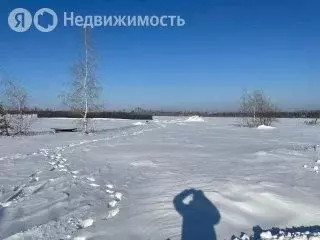 Участок в село Ямное, КП Титимитино (332 м) - Фото 1