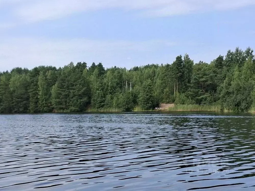 Дом в Ленинградская область, Сосновый Бор Приозерное СНТ,  (185 м) - Фото 2