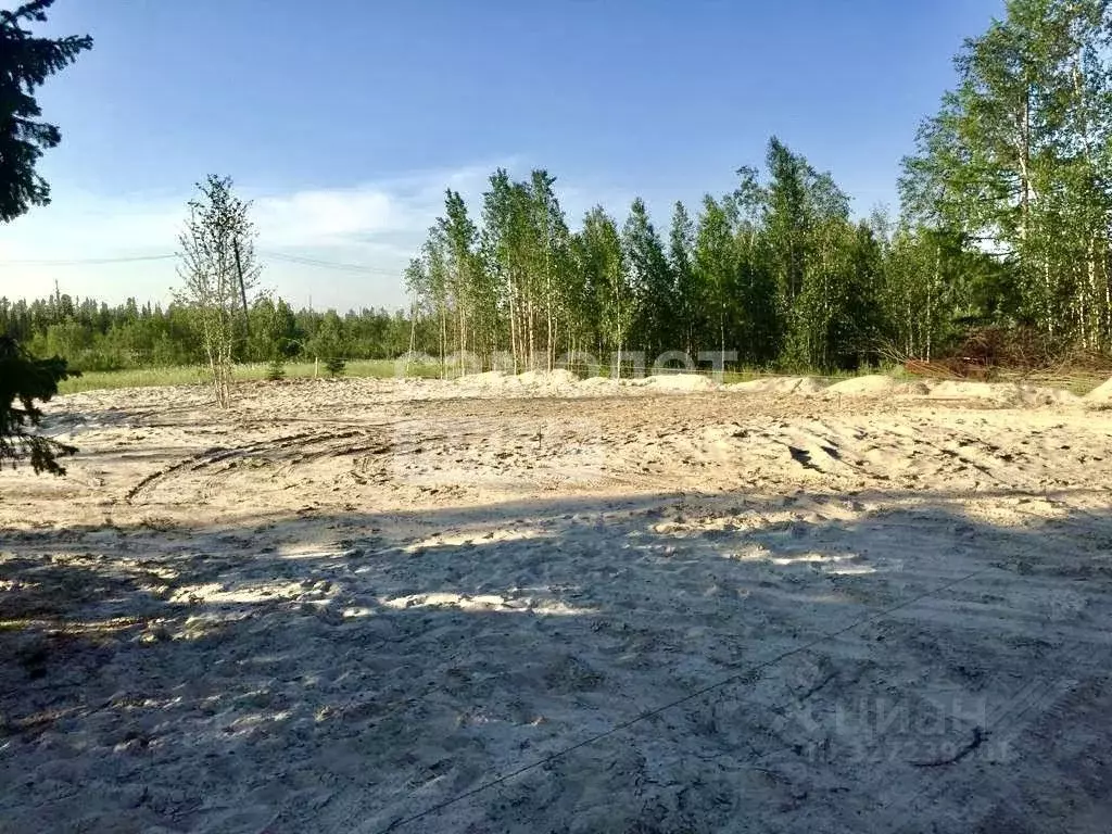 Участок в Ямало-Ненецкий АО, Ноябрьск  (8.32 сот.) - Фото 1