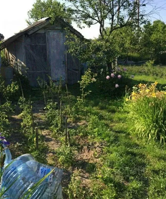 Дом в Калининградская область, Гурьевск Заря СНТ,  (20 м) - Фото 0
