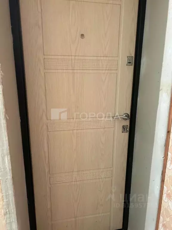 1-к кв. Алтайский край, Барнаул ул. Никитина, 28 (31.5 м) - Фото 0