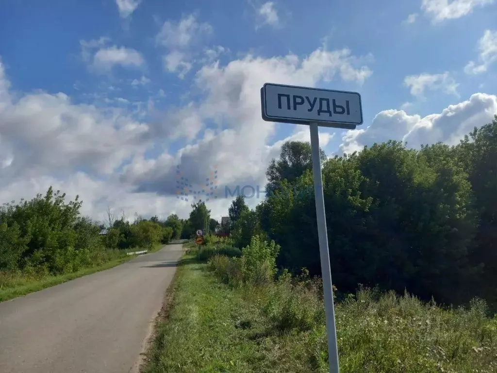 Участок в Нижегородская область, Богородский муниципальный округ, д. ... - Фото 1