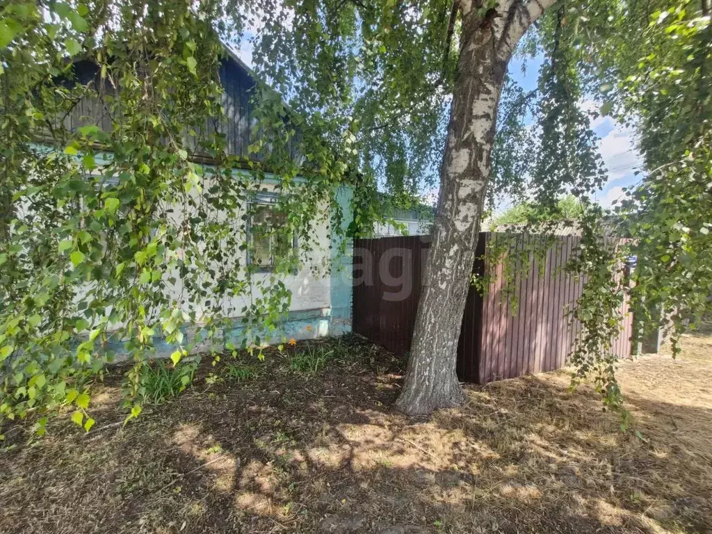Дом в Белгородская область, Волоконовка рп, Сибирь мкр  (30 м) - Фото 1