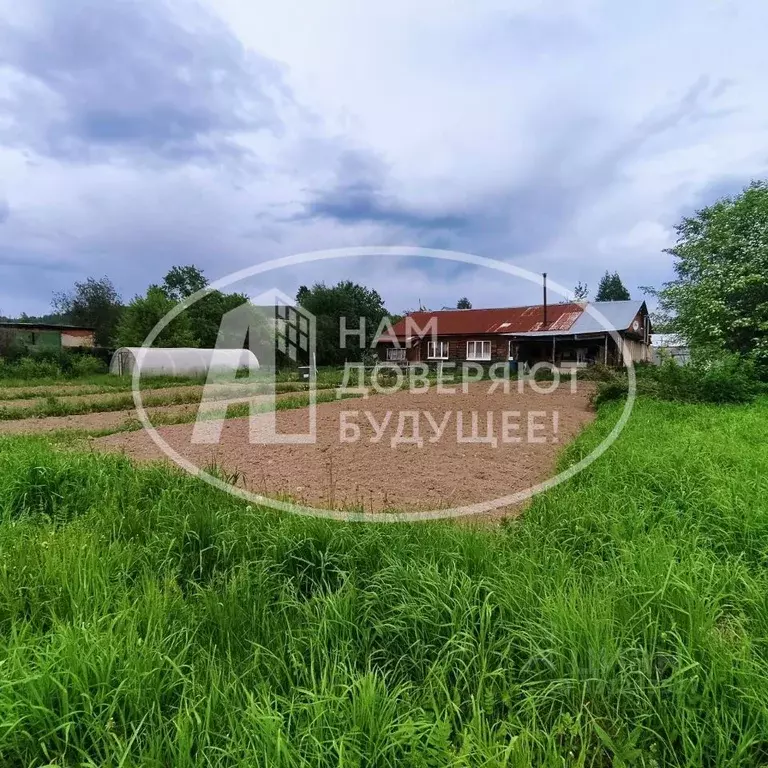 Дом в Пермский край, Чусовой ул. Кощеева, 2А (65 м) - Фото 1